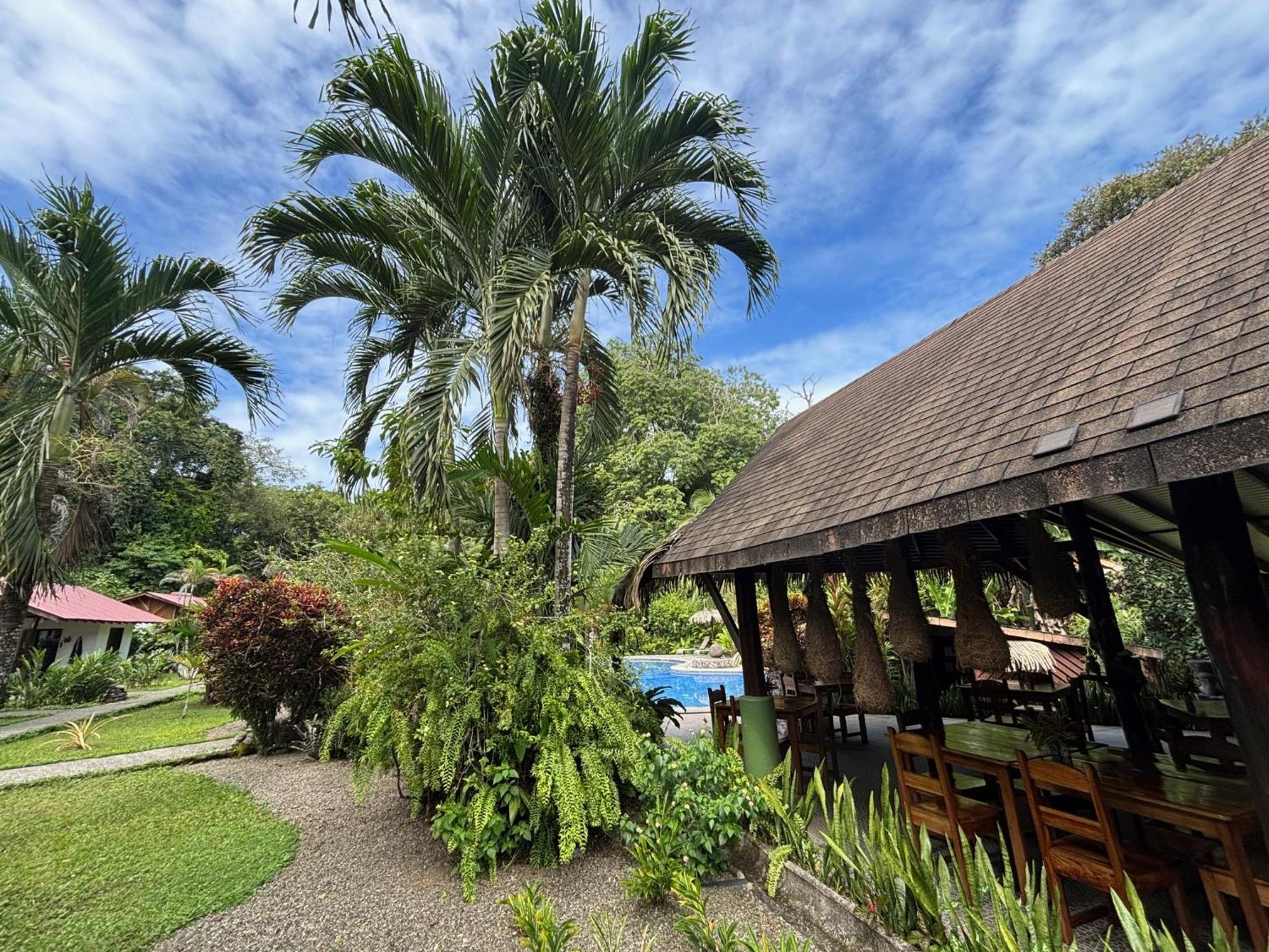 Hotel Suizo Loco Lodge & Resort Cahuita Buitenkant foto