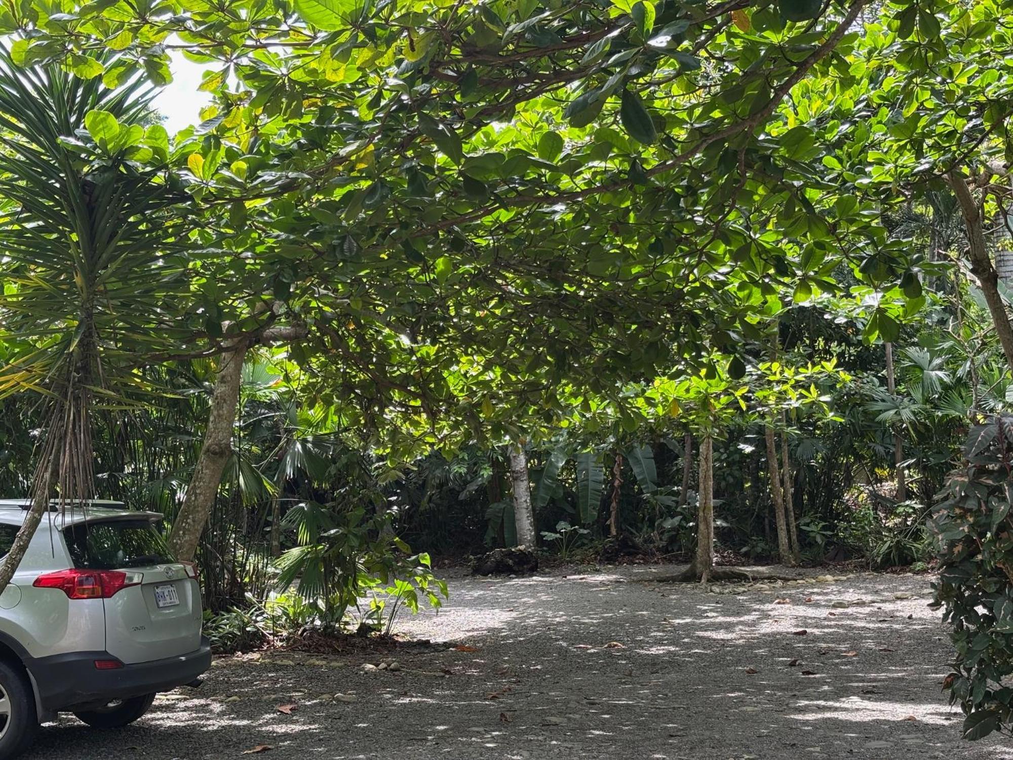 Hotel Suizo Loco Lodge & Resort Cahuita Buitenkant foto