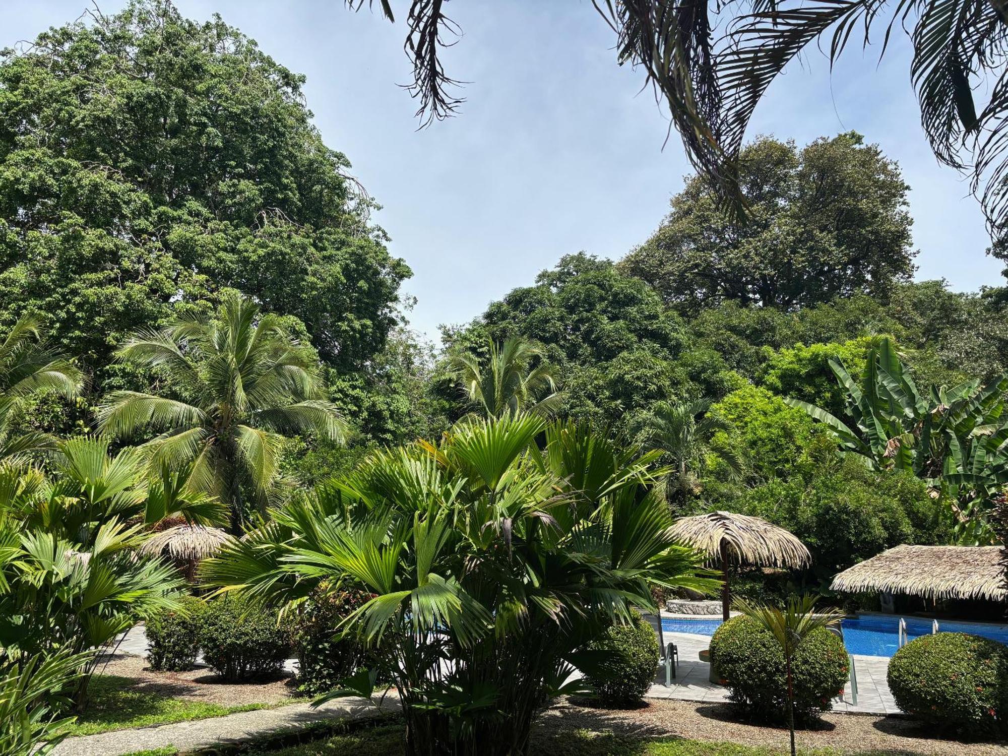 Hotel Suizo Loco Lodge & Resort Cahuita Buitenkant foto